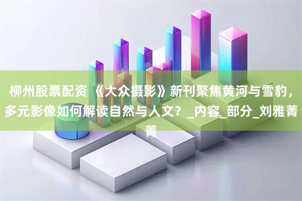 柳州股票配资 《大众摄影》新刊聚焦黄河与雪豹，多元影像如何解读自然与人文？_内容_部分_刘雅菁
