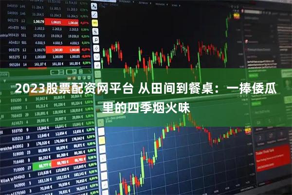 2023股票配资网平台 从田间到餐桌：一捧倭瓜里的四季烟火味
