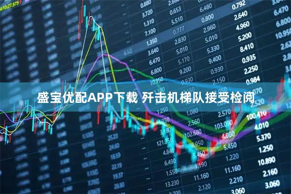 盛宝优配APP下载 歼击机梯队接受检阅